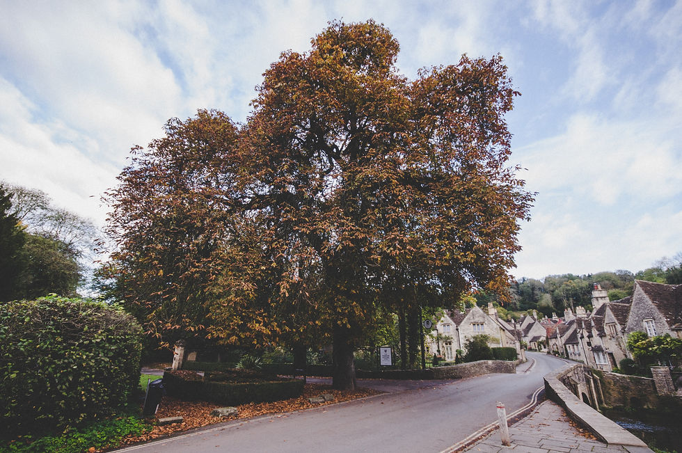 Castle Combe, Cotswolds Holidays