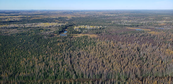 Gowan Property_Water Sources_Drilling_FH68 Area.jpg
