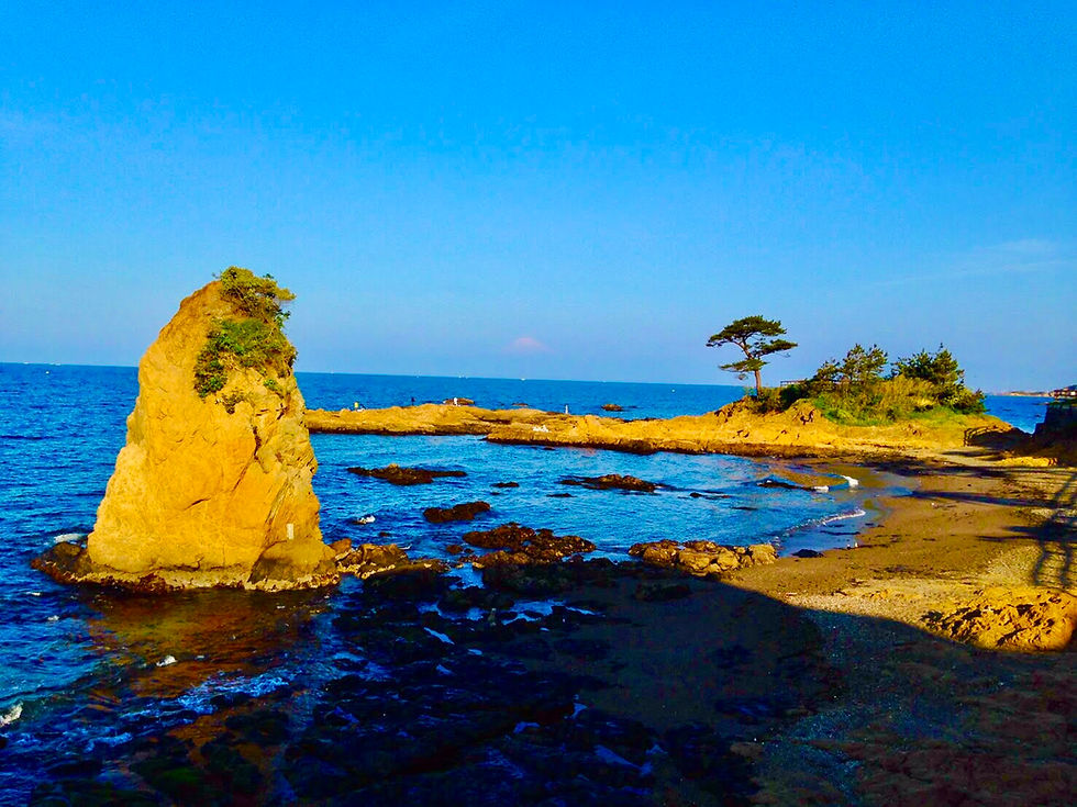 ホームページが新しくなりました