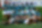URugbySponsor2.jpeg