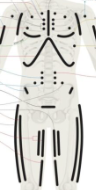 point neuro lymphatique