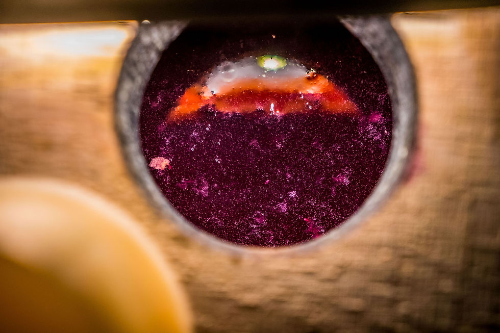 vino rosso dentro una barrique mentre matura 
