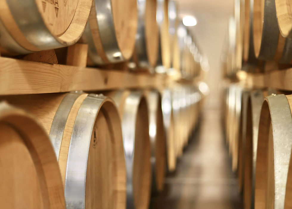 gruppo di barrique in doppia fila in una cantina