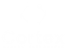 White logo - no background.png