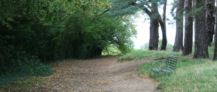 IMG_9495.JPG