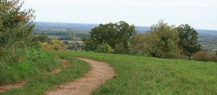 IMG_9519.JPG