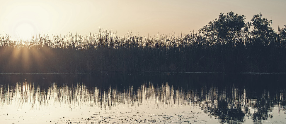 a body of water surrounded by trees and
