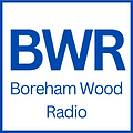 BWR LOGO 1 (1).png