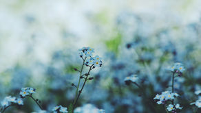 Never Forget - Jeremiah 29:11