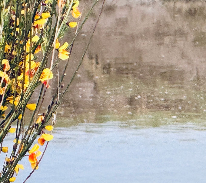 IMG_8322.jpeg
