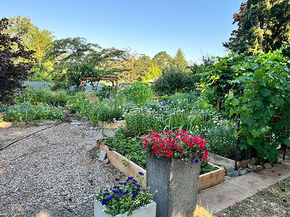 garden.jpg