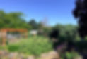 Web Community Garden.jpg