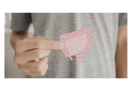 Could Your Gut Be Leaking? Gut Health Part II