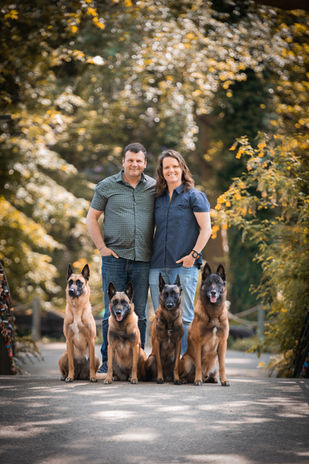 Ein Paar steht eng beieinander, liebevoll in den Arm genommen, während vier belgische Schäferhunde in perfekter Formation vor ihnen sitzen. Die herbstliche Waldkulisse im Hintergrund erzeugt eine warme, harmonische Atmosphäre.