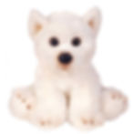 Niedlicher weißer Plüschwelpe zum Kuscheln