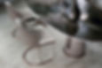 contact-the-revealry.jpeg