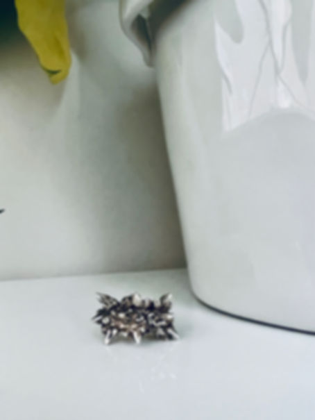 Budding Tooth Ring