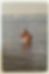 Woman in the sea, wearing a white bikini, ABOUT swimming in the ocean waters.