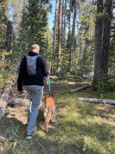 man walking dog in forest