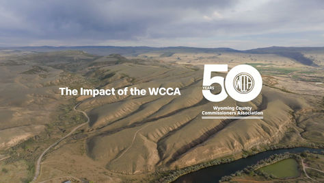 The Impact of the WCCA