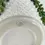Thumbnail: Faux Succulents