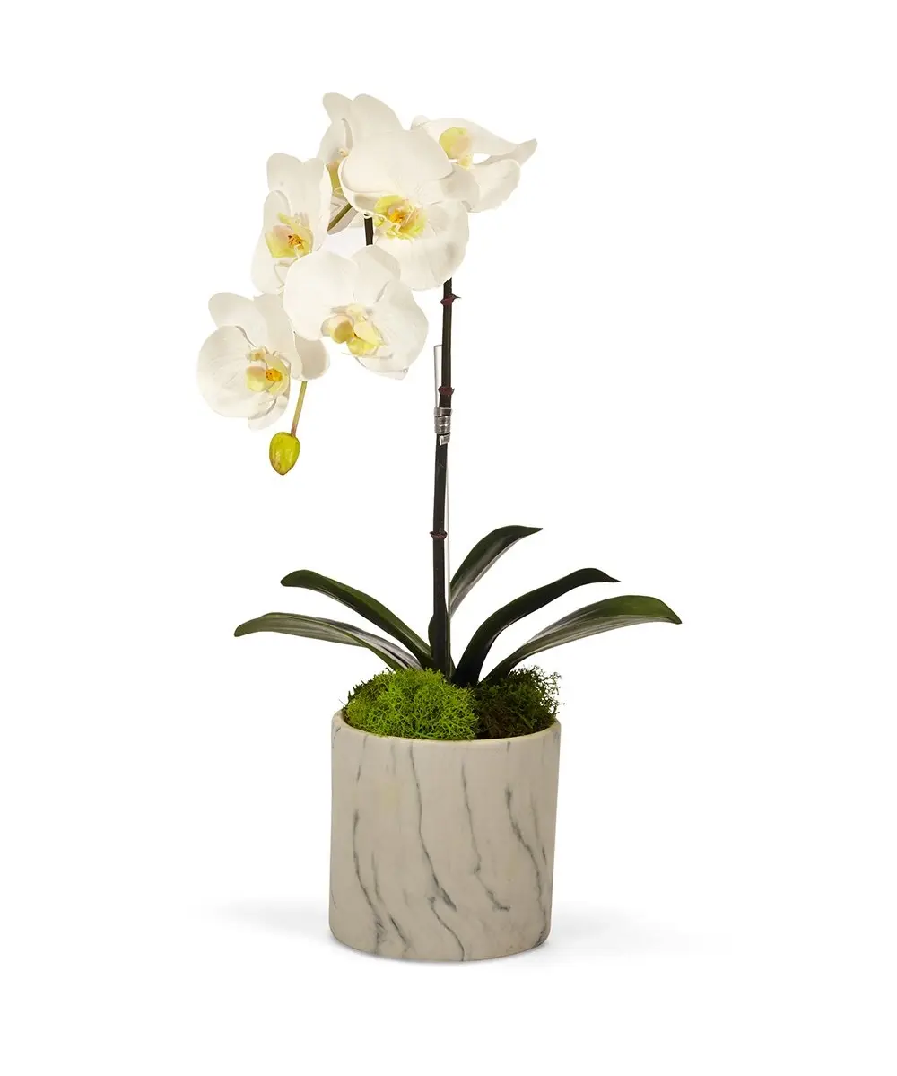 Artificial White Orchid in marble container