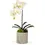 Thumbnail: Artificial White Orchid in marble container