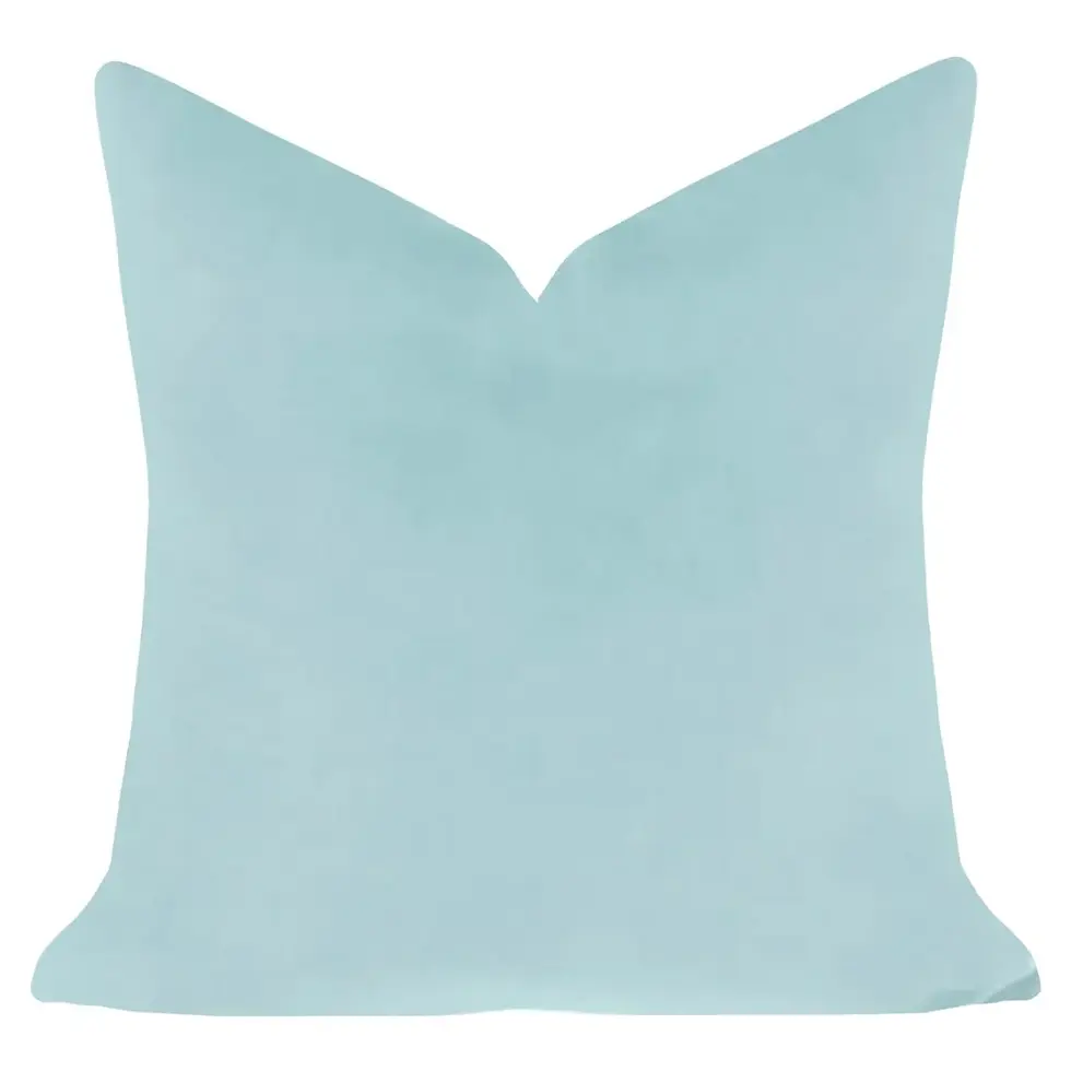 Laura Park Solid Velvet Pillows