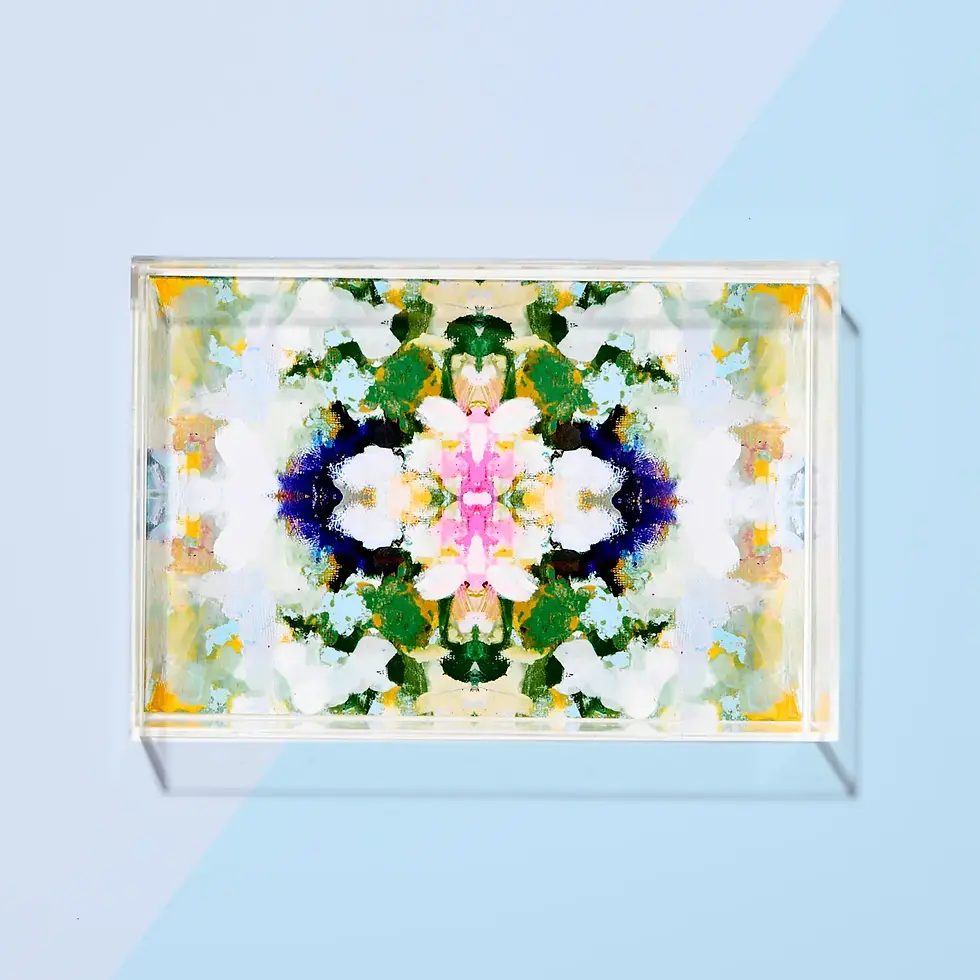laura park small acrylic trays