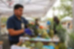 Community Food Distribution