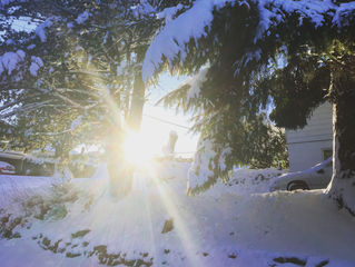 The Gift of Winter