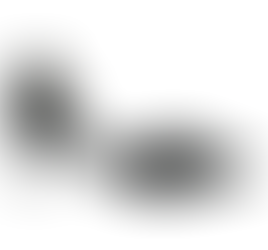 Top 5 Womens Formal Shoes Malaysia for Daily Office Wear