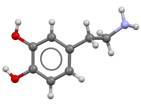 Dopamine Molecular Structure