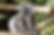 pexels-flip-side-2590768.jpg