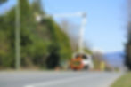 A flag person stands at the crest of a hill while a crew trims trees_Traffic Safety_A flag