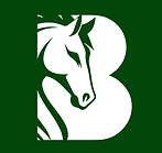 BERKMAN logos (4).png