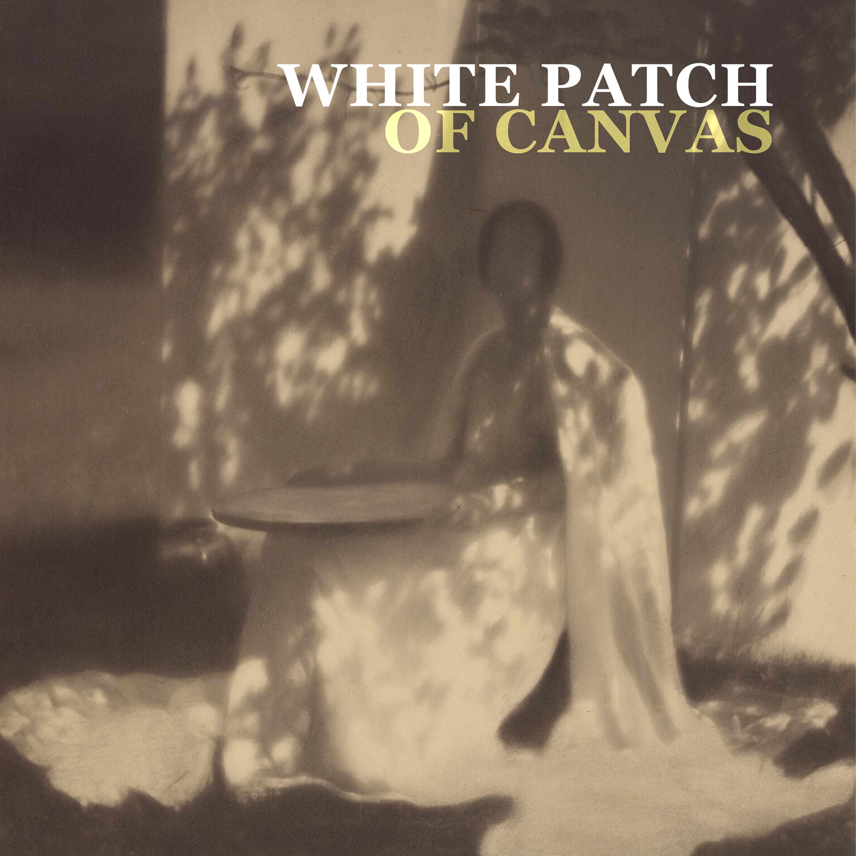 White Patch of Canvas