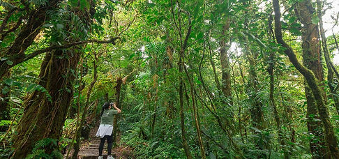 monteverde-cloud-forest-30.jpg