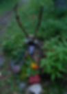 DSCN2531_edited.JPG