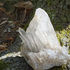 Le Cristal de roche