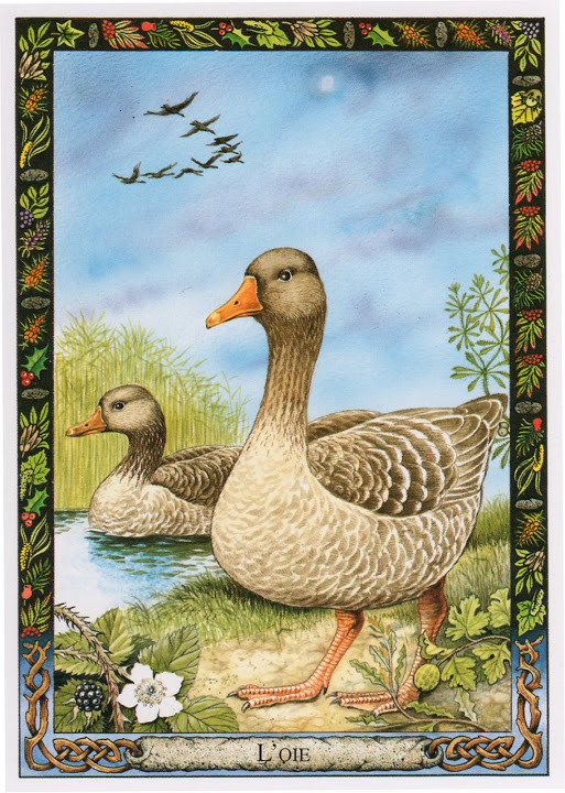 L Oie Sauvage Symbolisme L Oie Sauvage Symbolisme