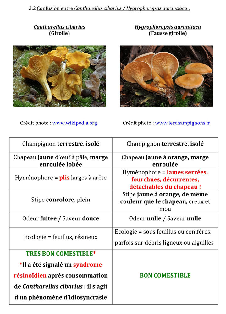 La Chanterelle symbolisme