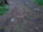 DSCN2527.JPG
