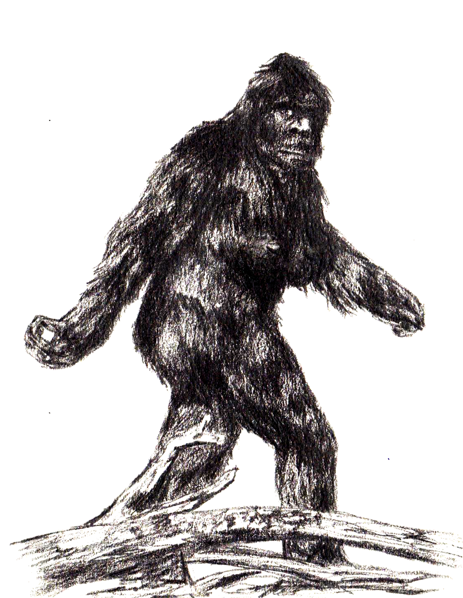 Sasquatch