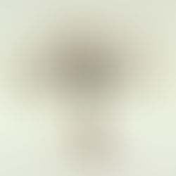 Le Baumier de Giléad