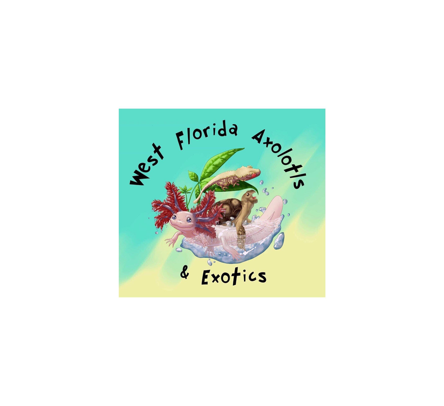 www.westfloridaaxolotlsandexotics.com