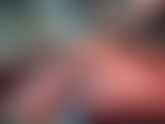 Affordable Bulk Meat Suppliers in Canberra: Your Guide to Bulk Meat Canberra