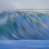 Kathy Bishop