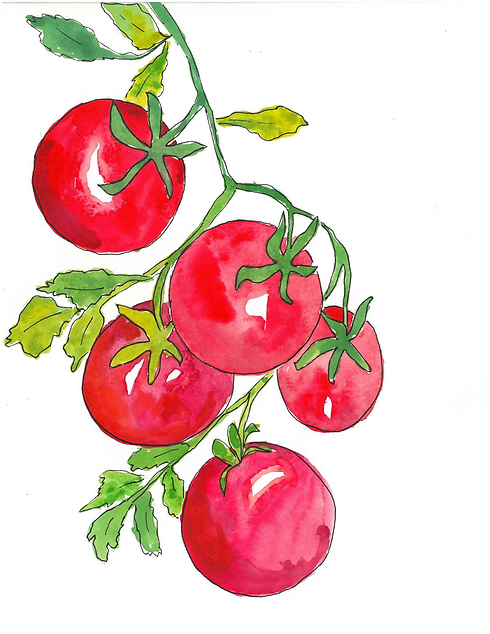 tomatoes 2.pdf.png
