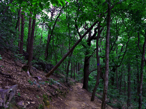 Explore ATL: May Hiking Edition